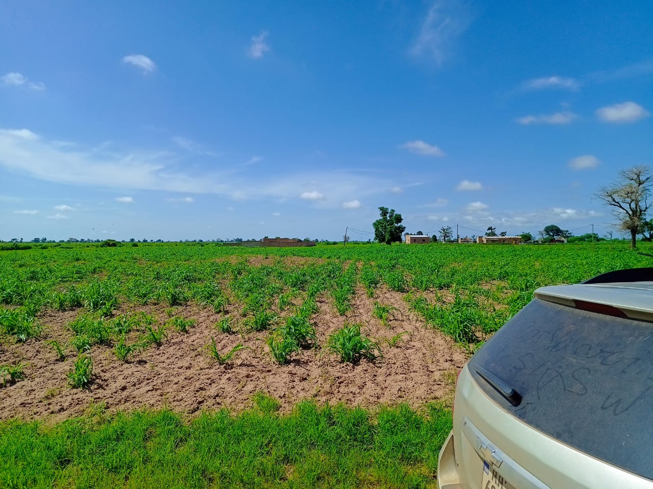 Mise en place de coopératives